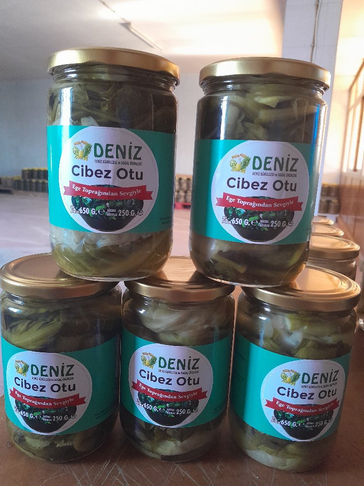 cibez otu 