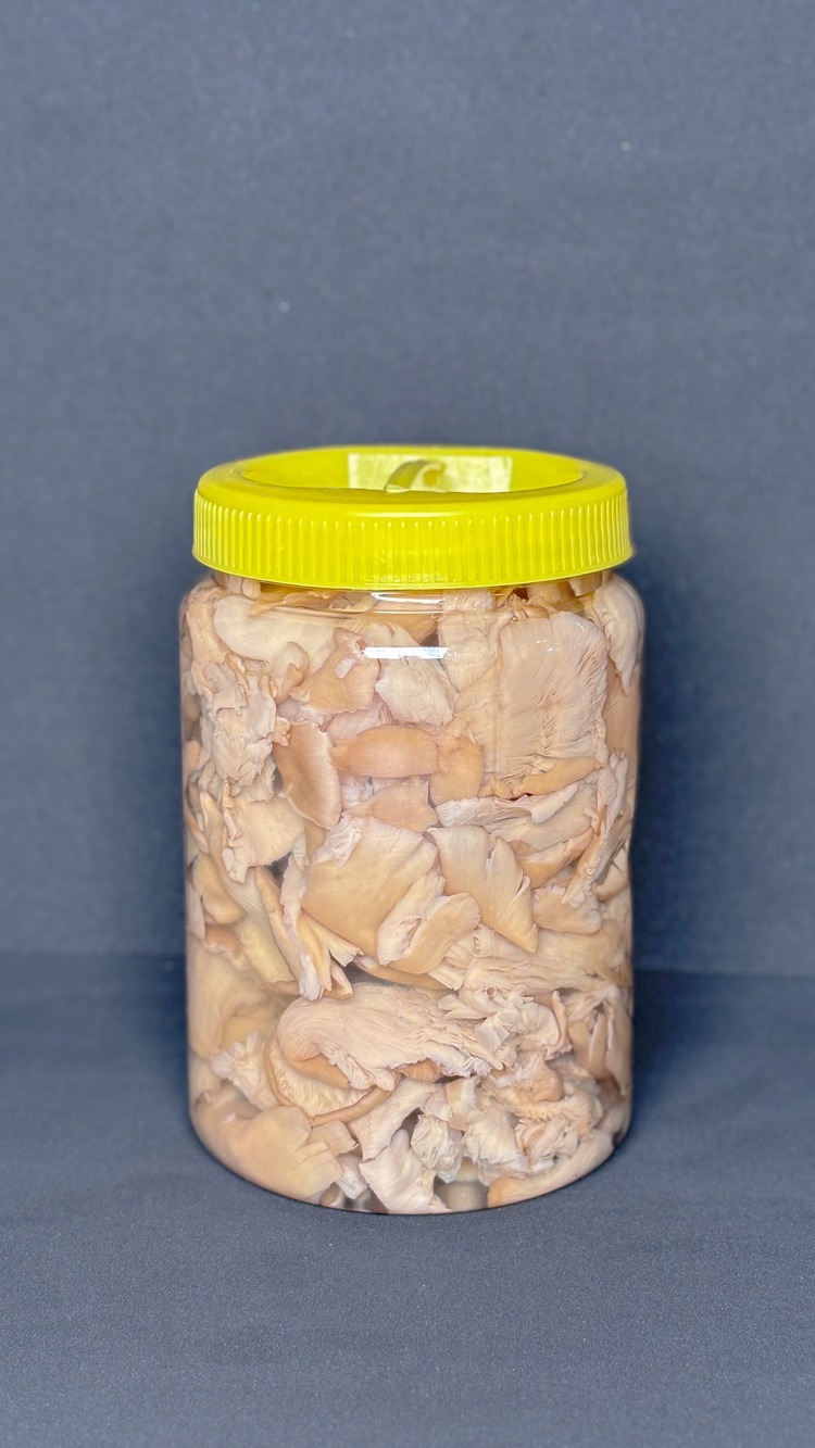 İstiridye Mantarı (1KG)