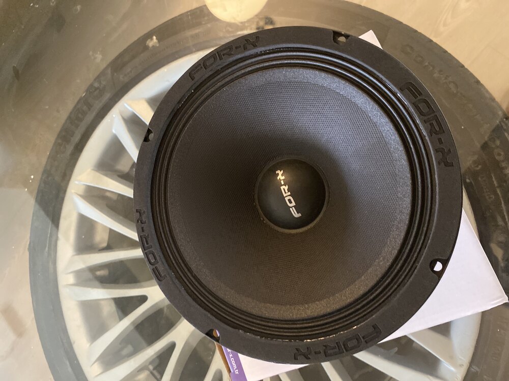 Forx 208 200 rms 20 cm 