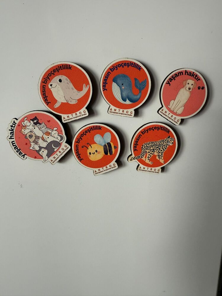 ANTROG Magnet (3'lü)