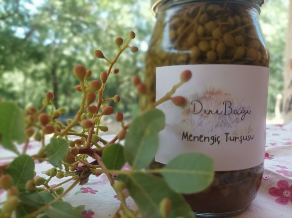 Menengiç Turşusu