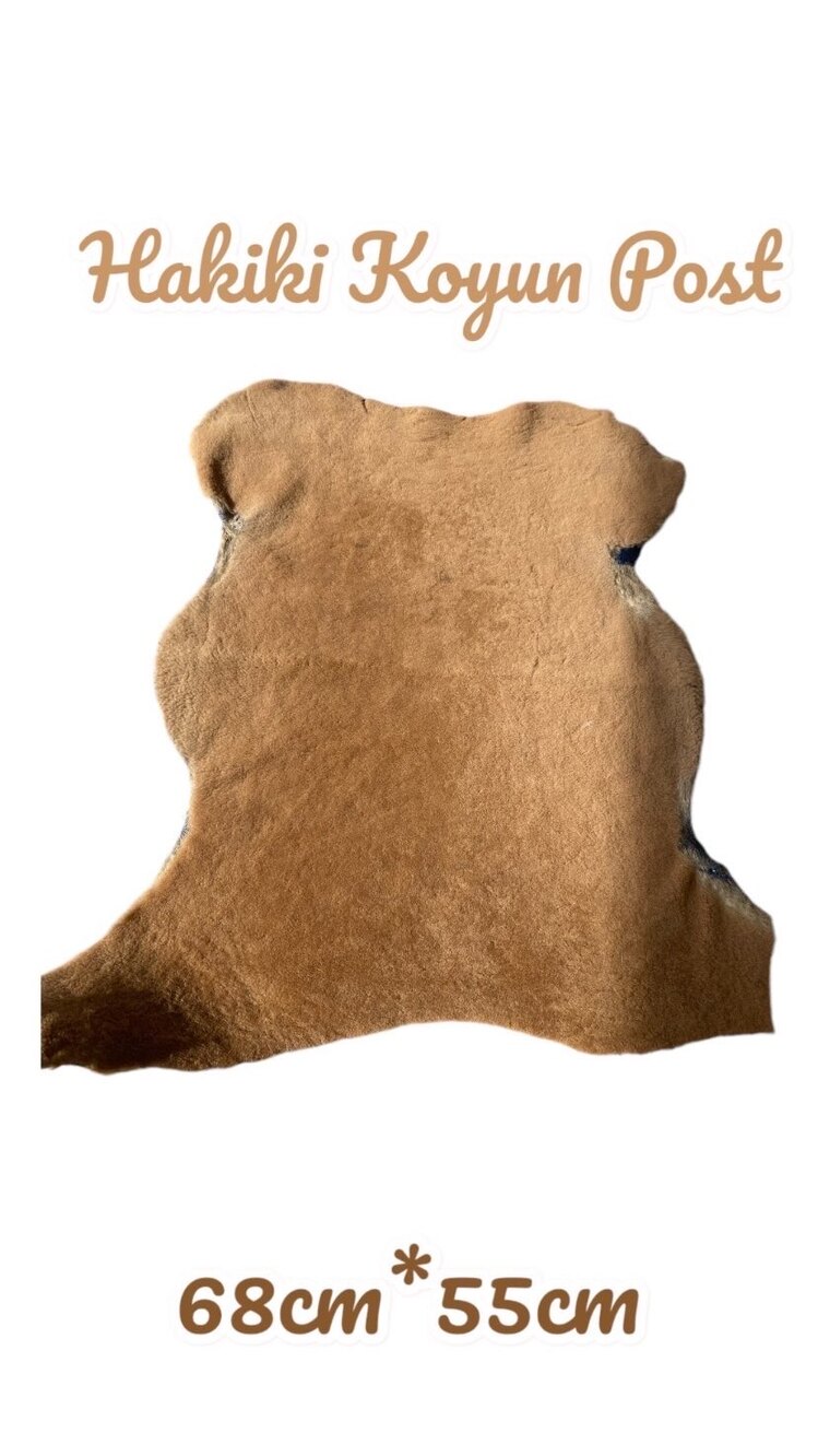 Hakiki Post