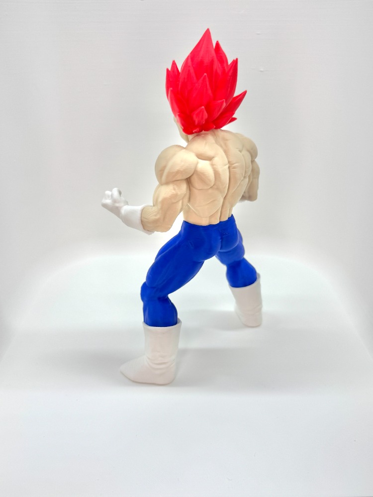 Özel Üretim Vegeta - Super Saiyan God (Dragon Ball) 3D Baskı Koleksiyon Figürü (18 cm)