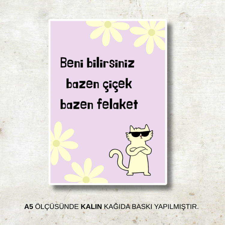 Felaket | Poster
