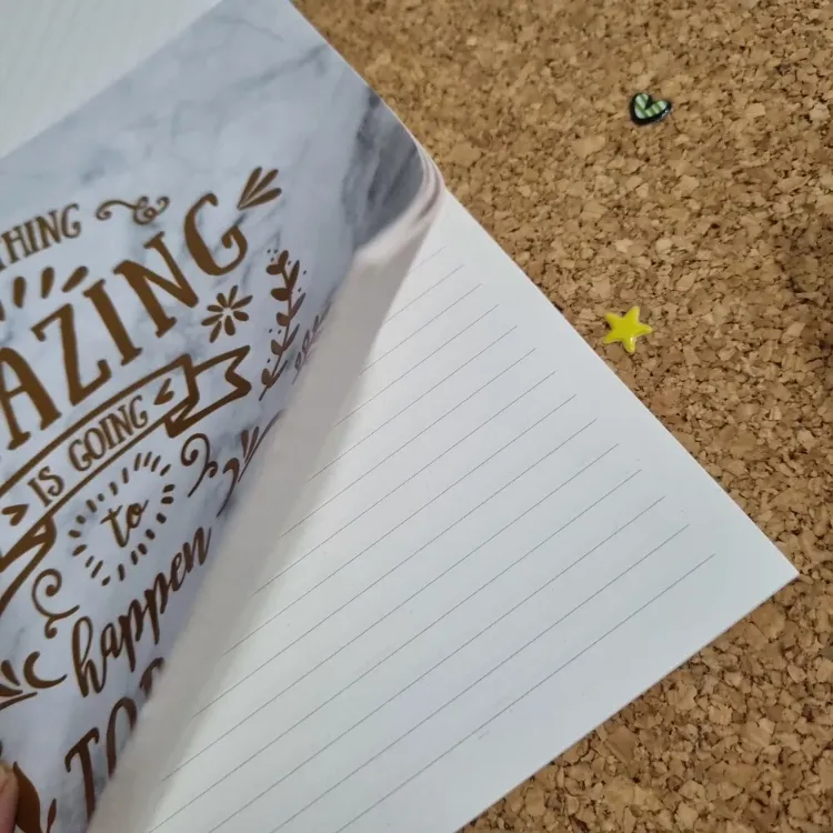 Amazing Çizgili Defter