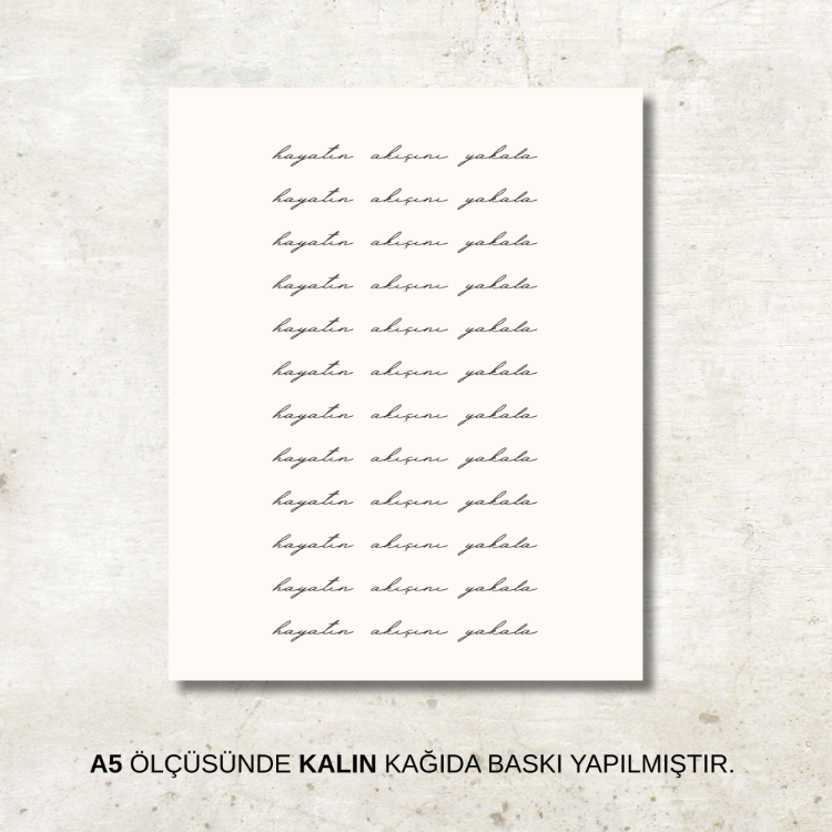 Hayatın Akışını Yakala | Poster