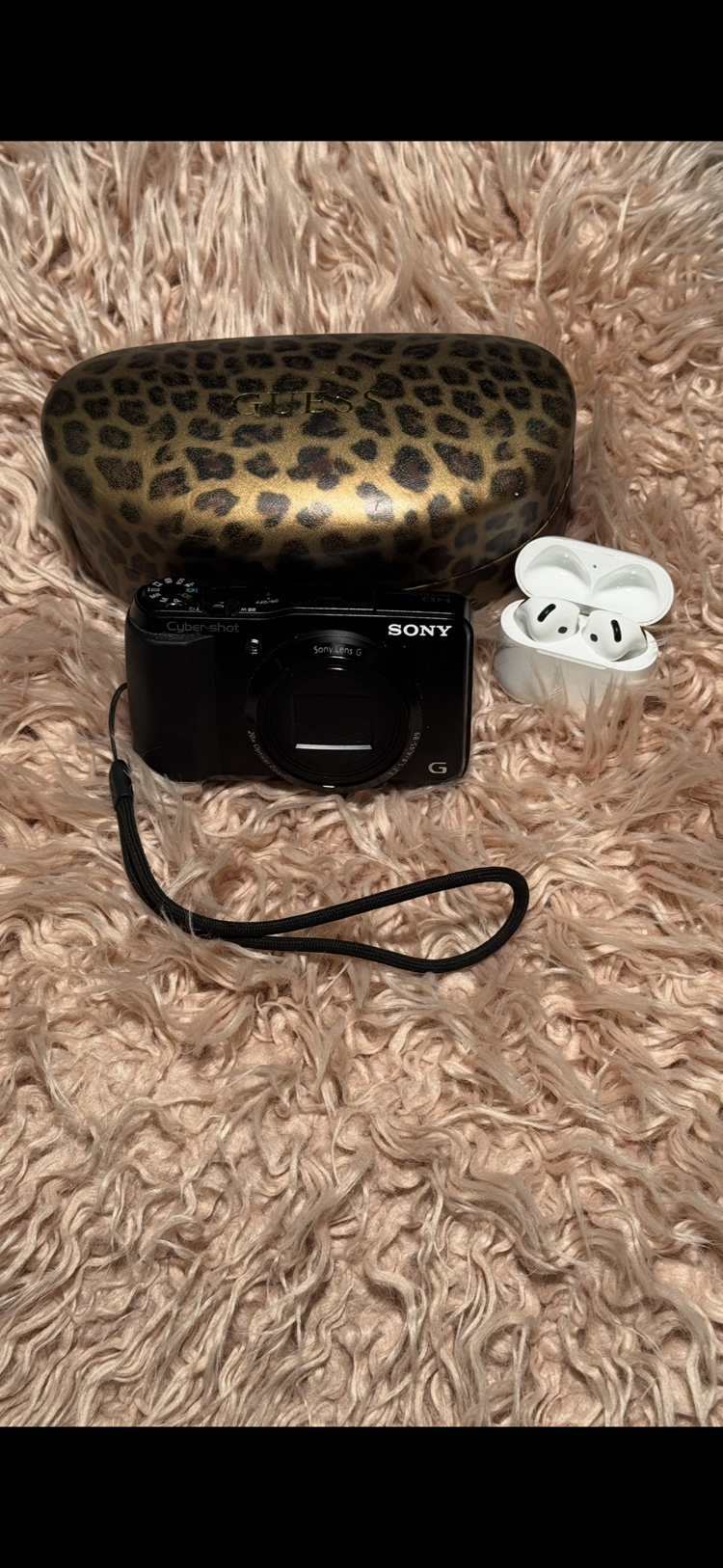 Sony HX20V