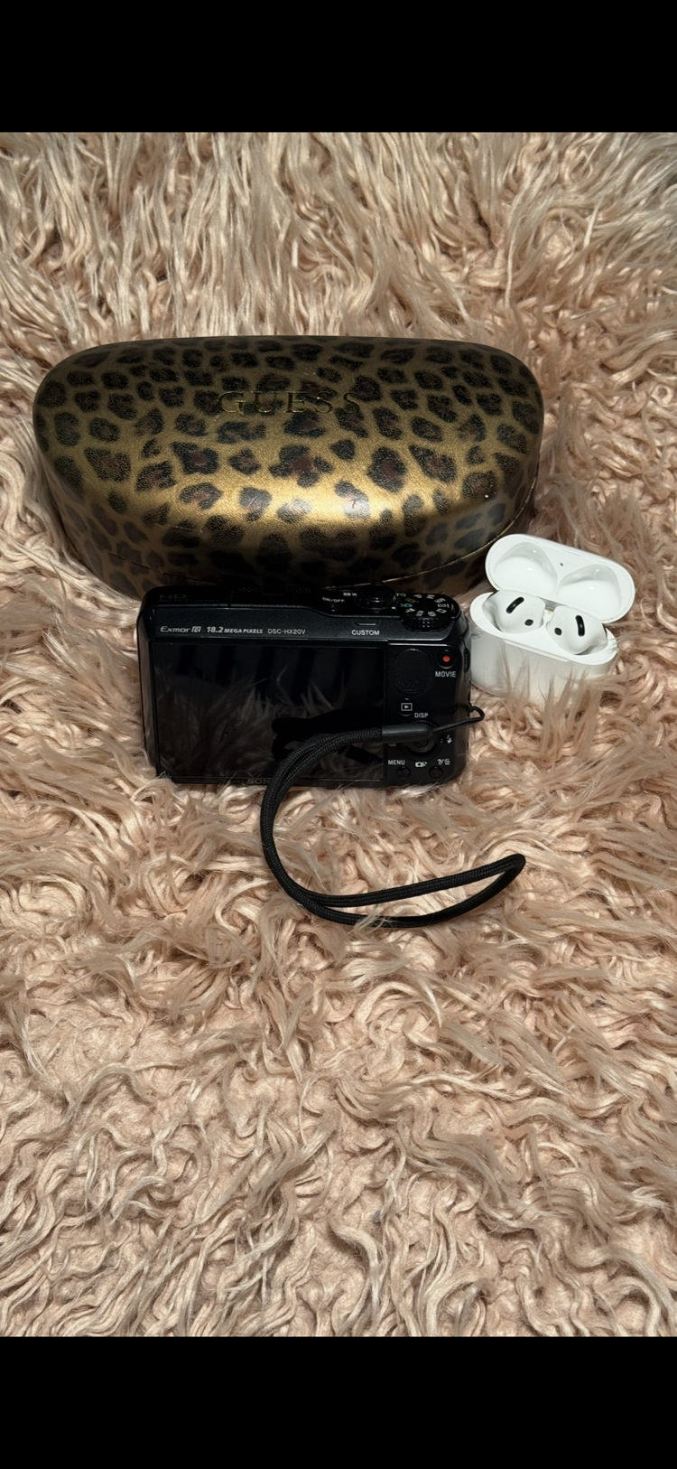 Sony HX20V