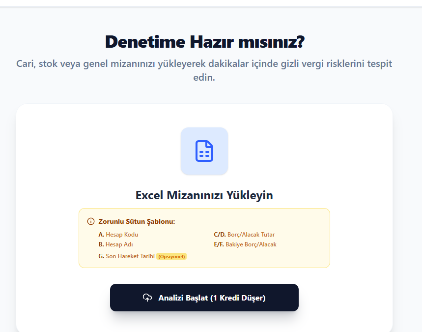Mizan Denetim Raporu