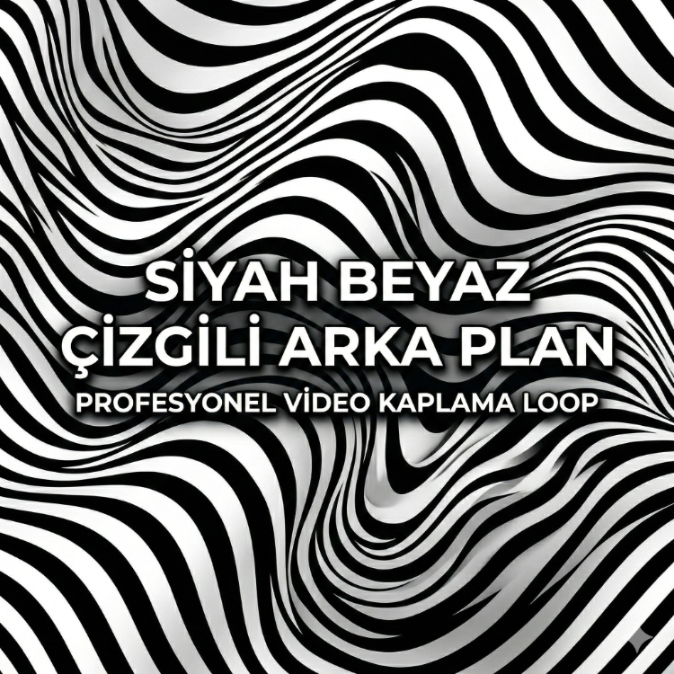 Premium Siyah Beyaz Çizgili Arka Plan Overlay Paketi | Minimalist 4K Loop
