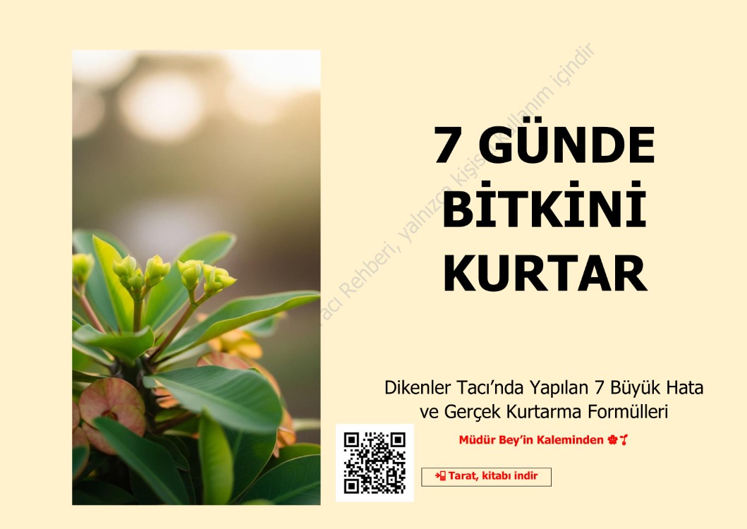 Dikenler Tacı Dijital Rehber - 7 Günde Bitkini Kurtar