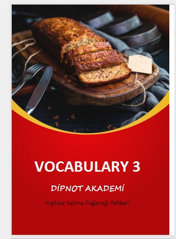 VOCABULARY 3