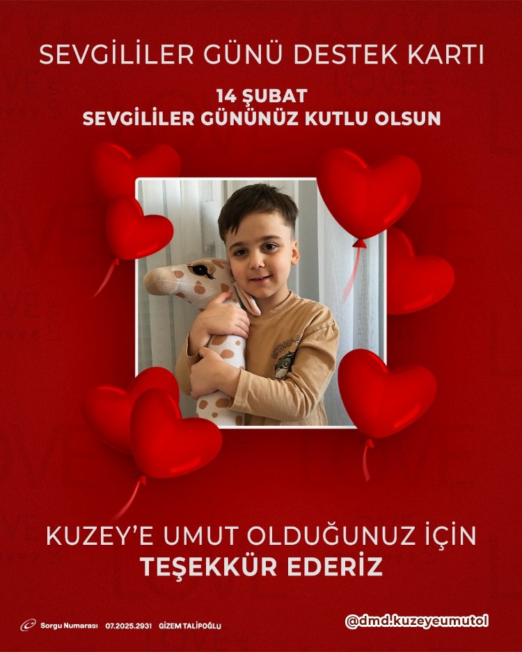 KUZEY DESTEK