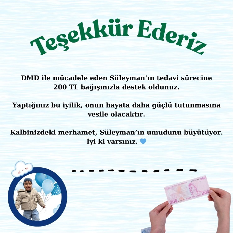 Destek Kartı