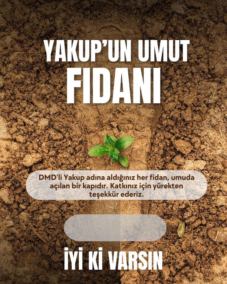 Fidan