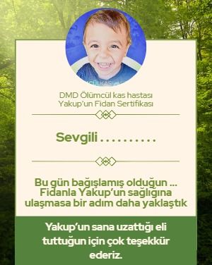 Fidan Sertifikası