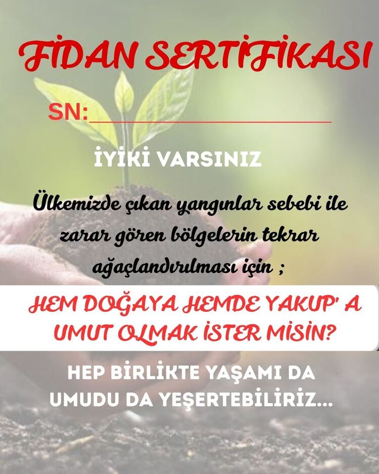 fidan sertifikası