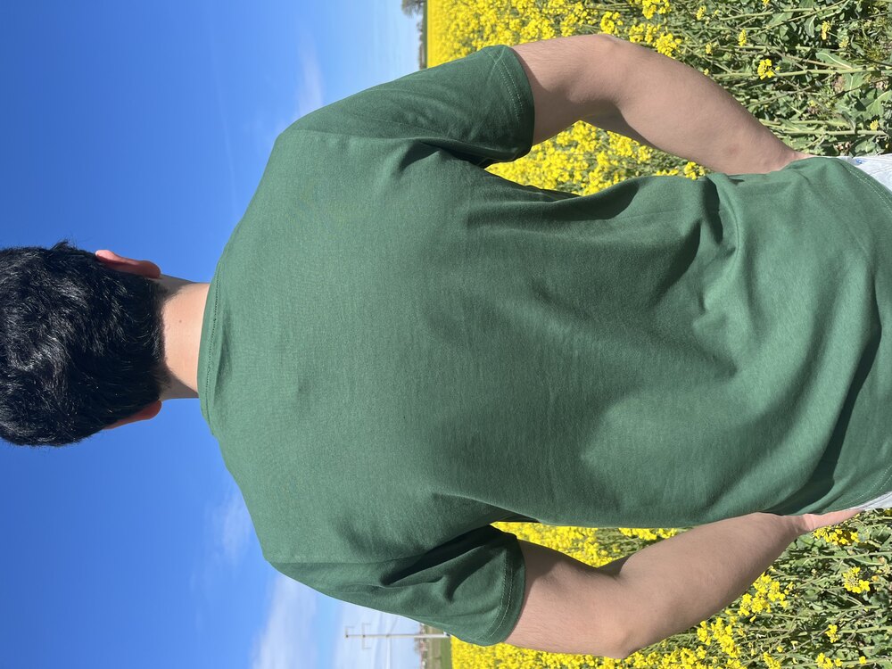 Lacoste Yeşil 