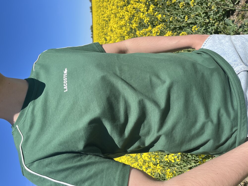 Lacoste Yeşil 