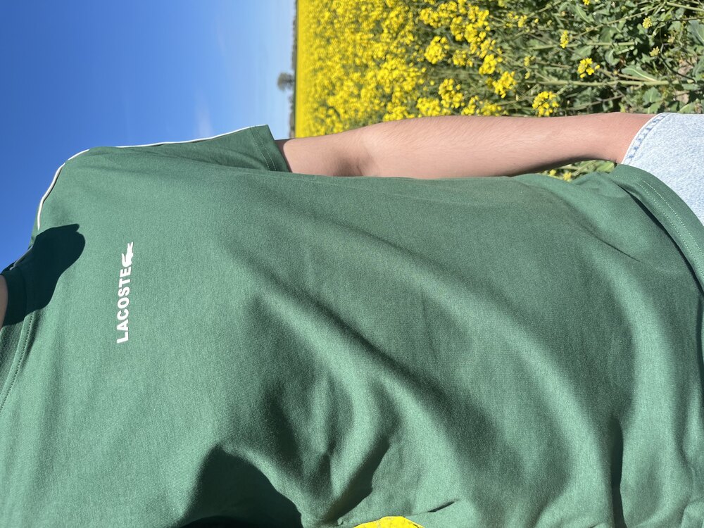 Lacoste Yeşil 