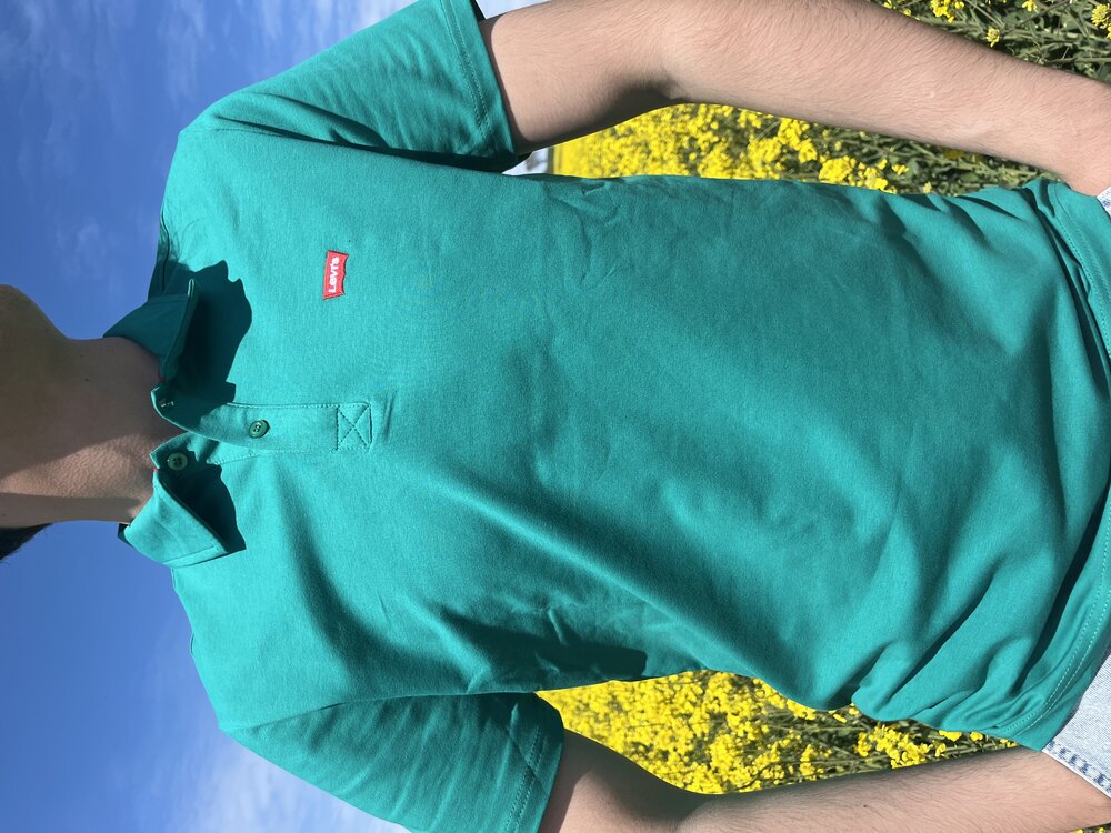 Levi’s Yeşil Polo Yaka
