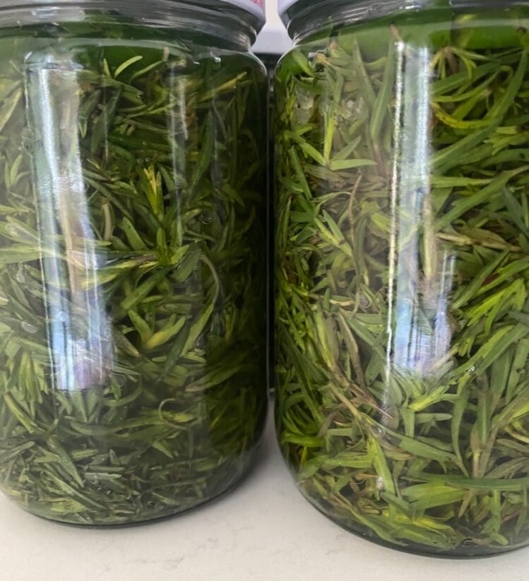 2026 Salamura Kekik 720 gr