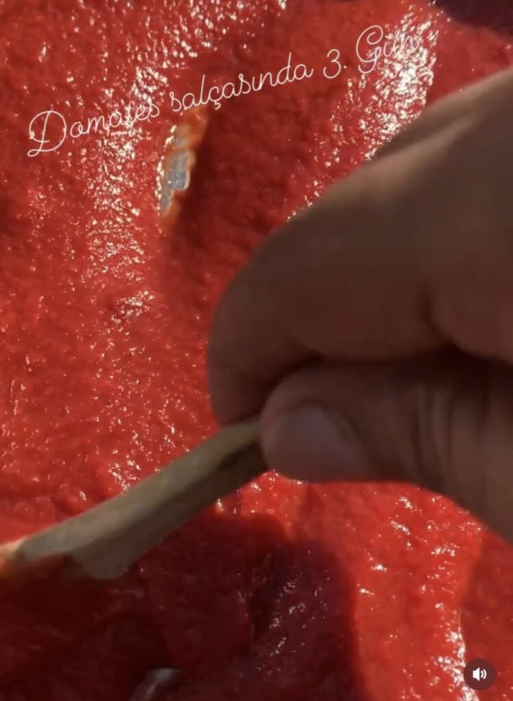 Domates Salçası 1 kilo