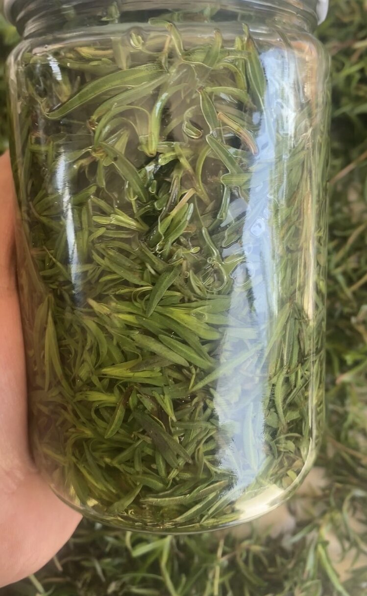 2026 Salamura Kekik 720 gr