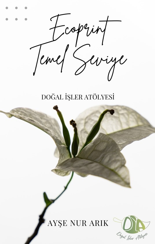 Ecoprint Temel Eğitim Dosyası
