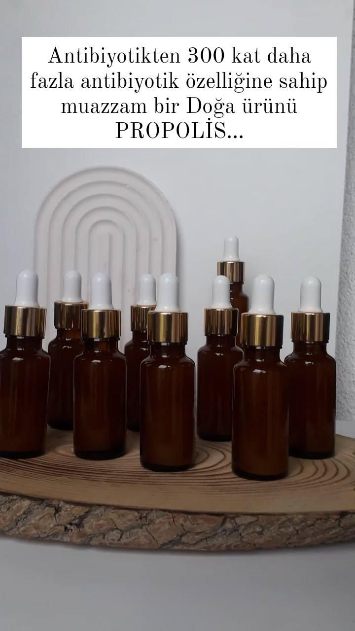 propolis