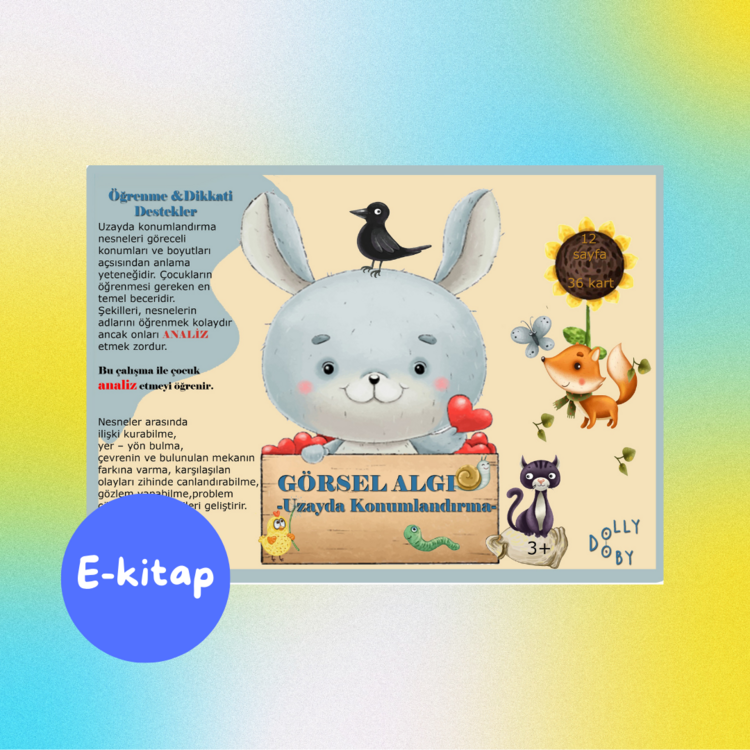 Görsel Algı - Uzayda Konumlandırma