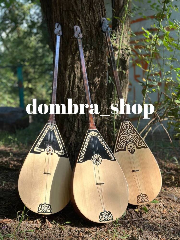 Profesyonel dombra