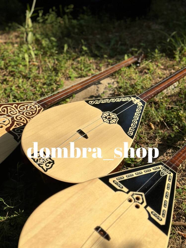 Profesyonel dombra