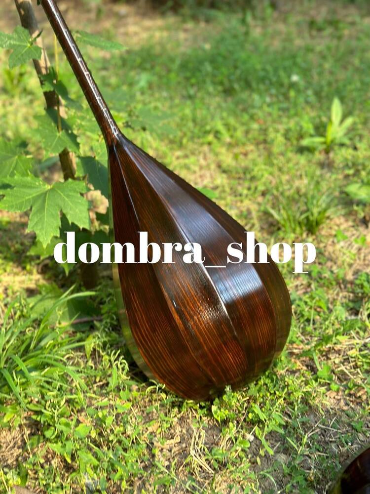 Profesyonel dombra