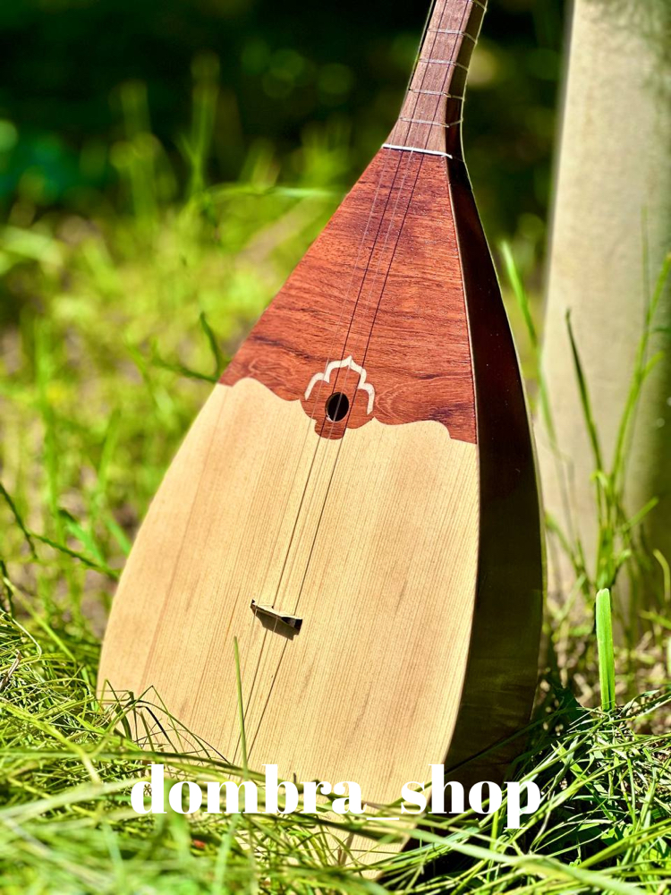 Konser Modeli Kayın