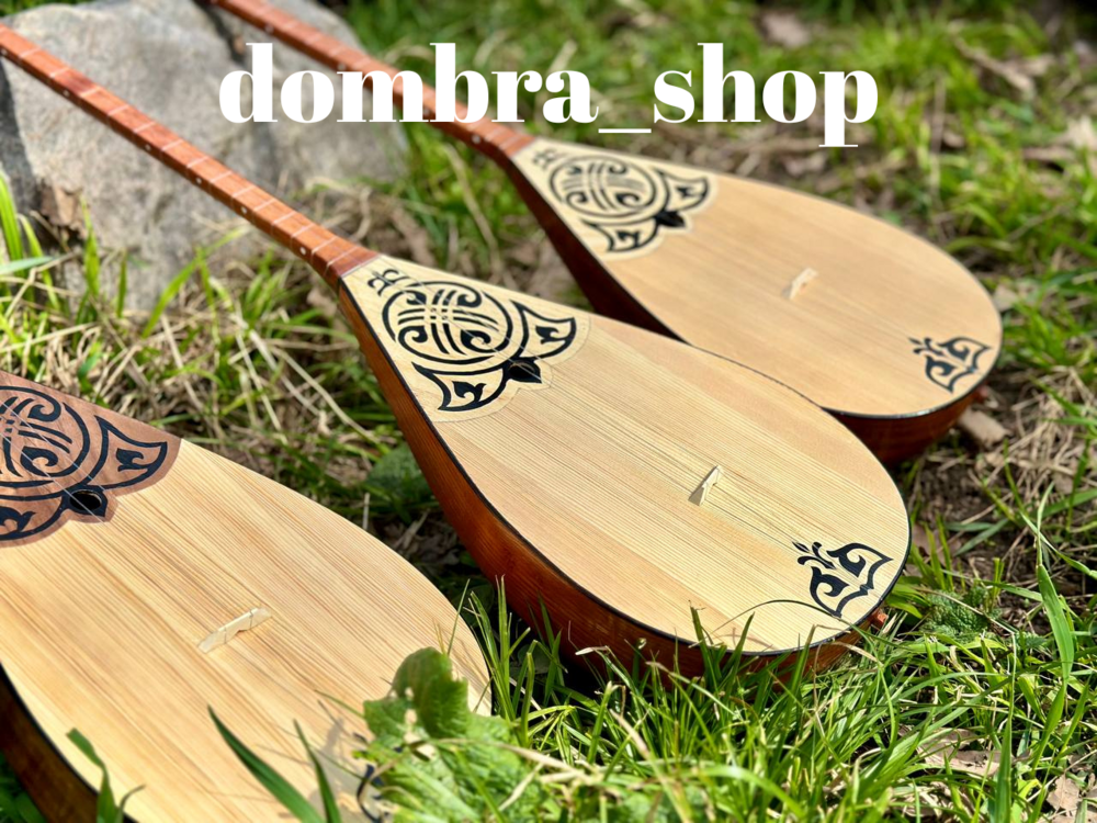 Yeni Üst Düzey / Yarı profesyonel Dombra Modelleri
