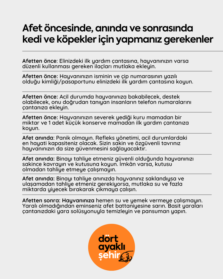 Kedi - Köpek | Afet ve İlk Yardım Çantası