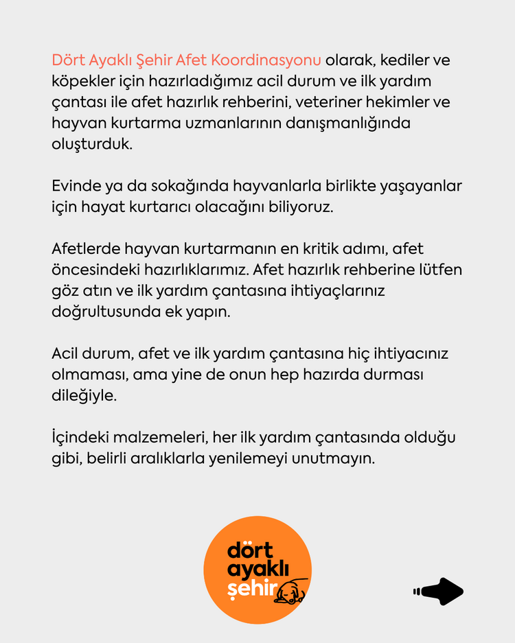 Kedi - Köpek | Afet ve İlk Yardım Çantası