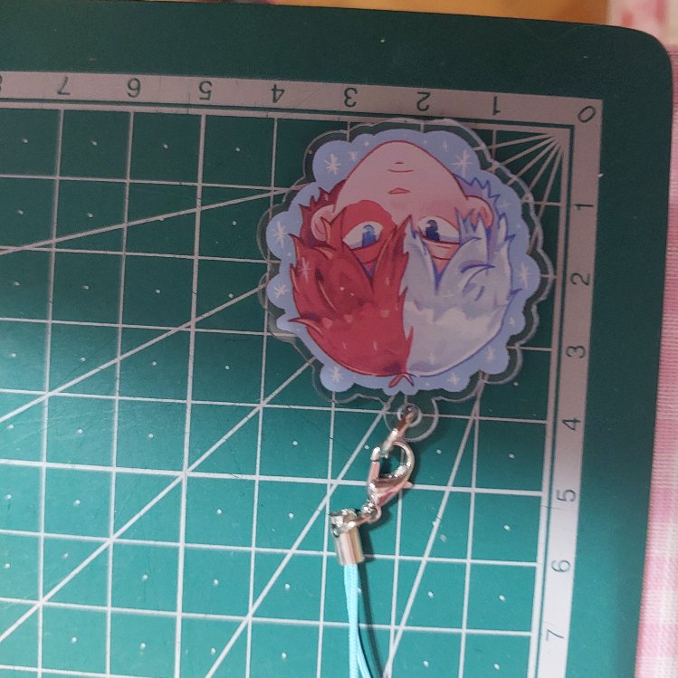 Todoroki Charm