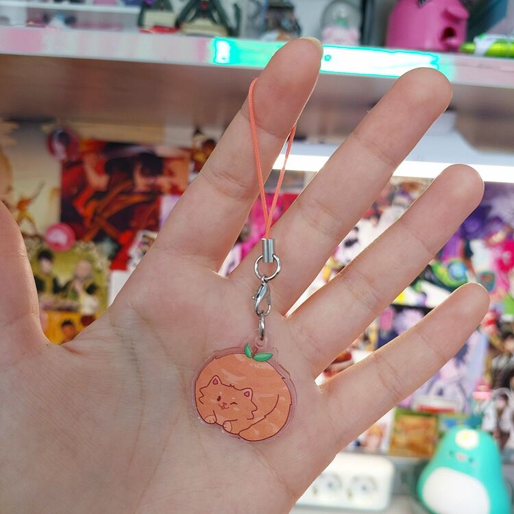 Portakal Kedi Charm