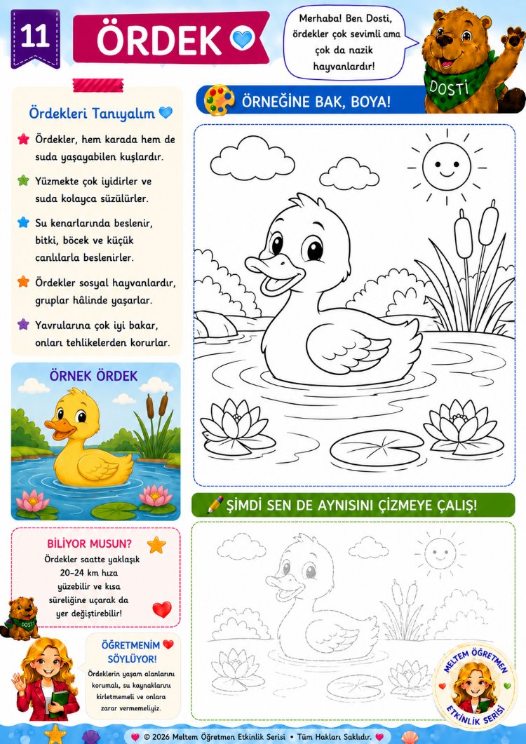 Dosti Boyama Kitabı | 20 Etkinlik Sayfası | Dijital PDF
