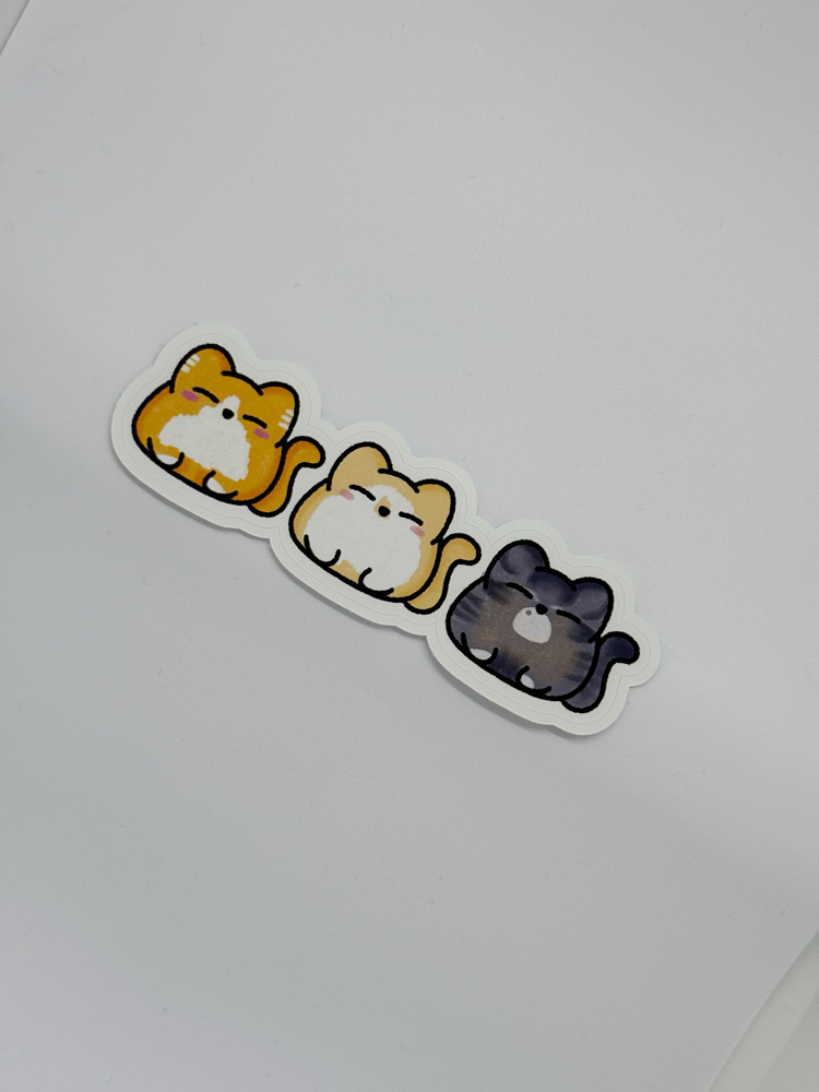 Kitties Easy Peel Büyük Sticker