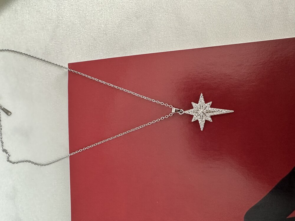 Silver Taşlı Kutup Yıldızı Kolye | Çelik