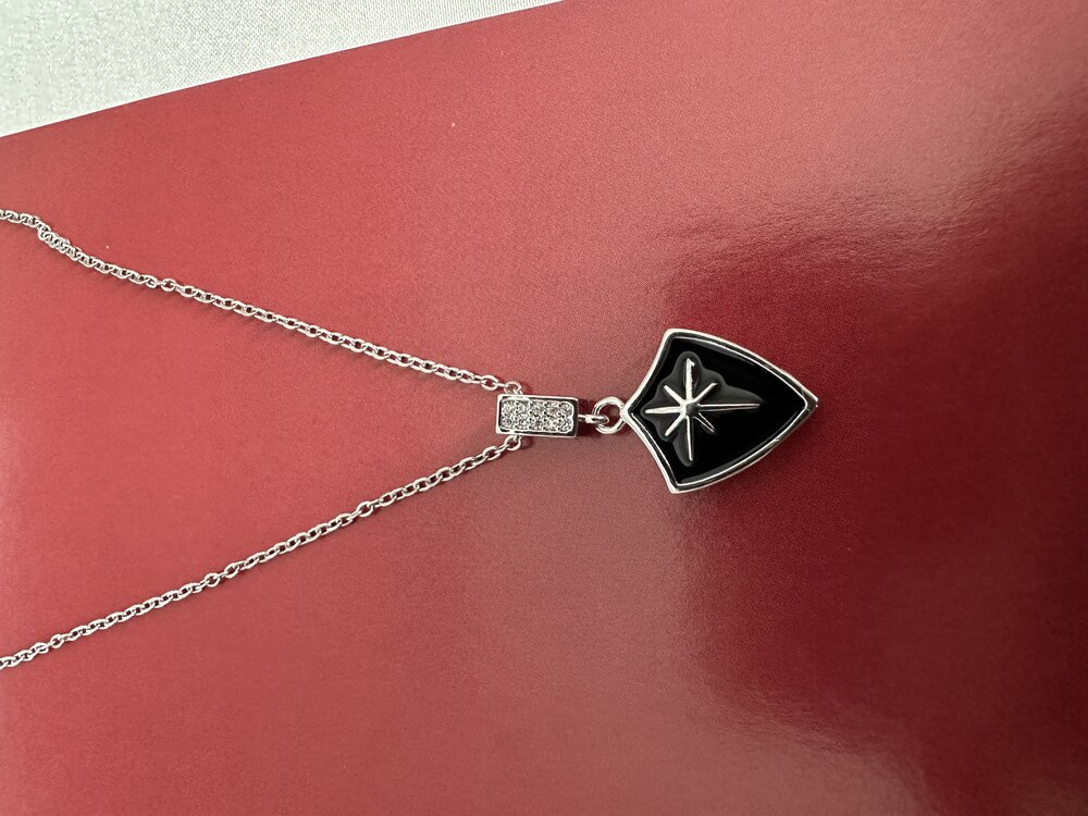 Silver Shield Kolye | Çelik