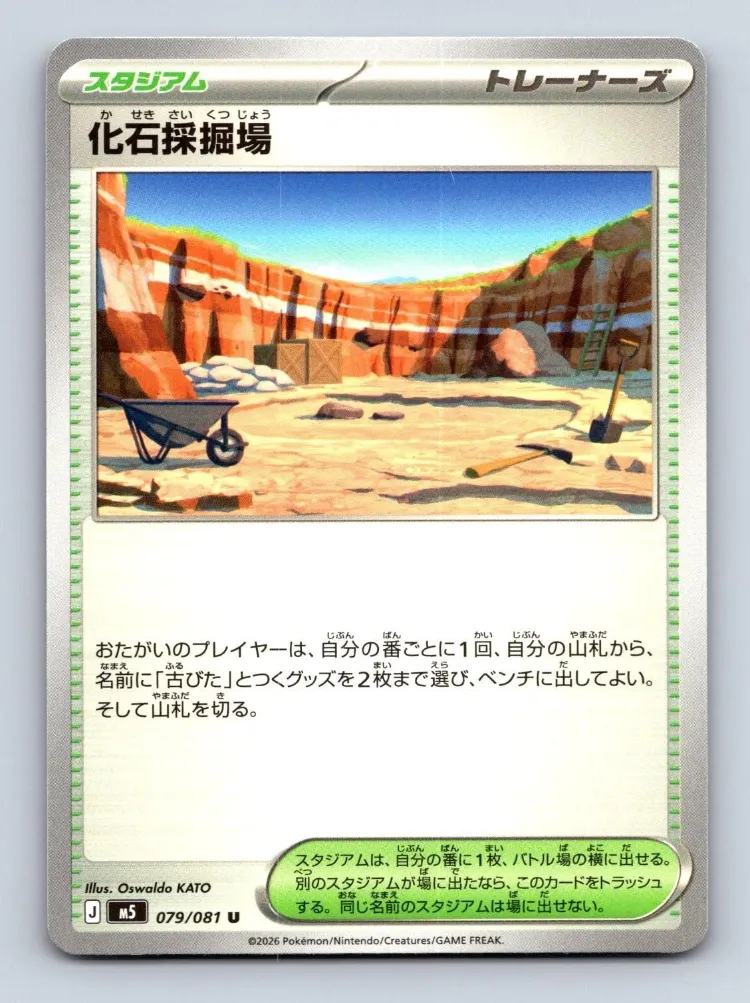 Fossil Excavation Site