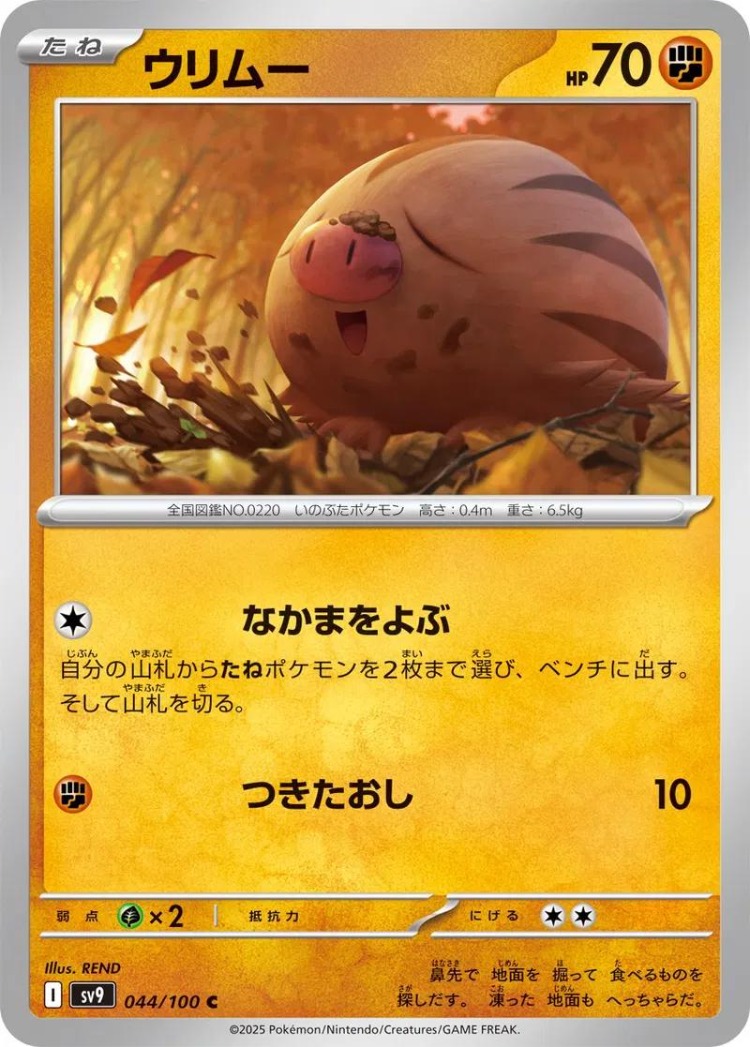 Swinub