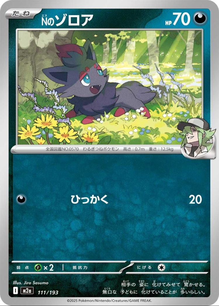 N’s Zorua