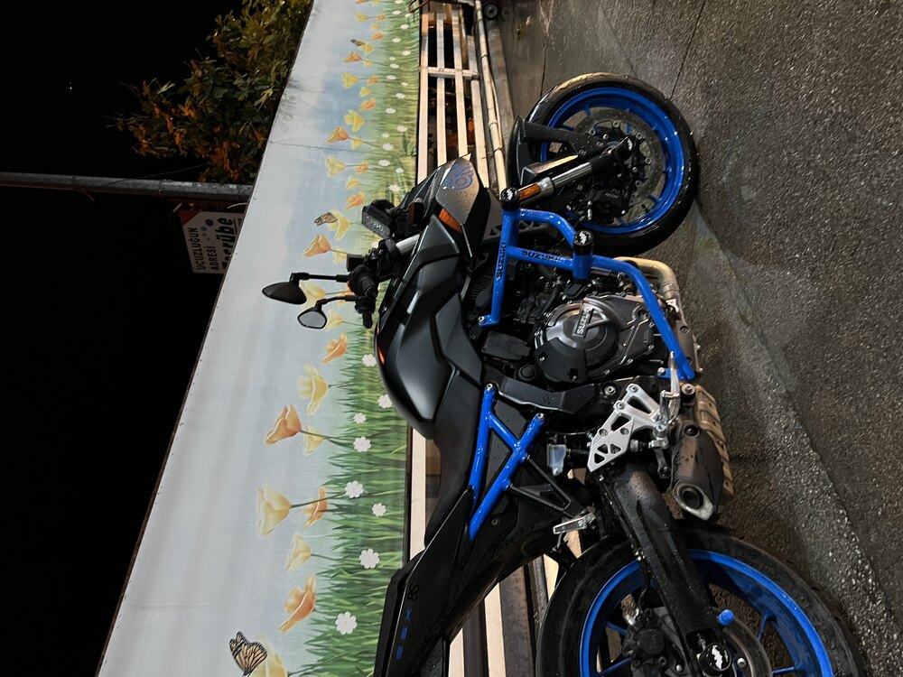 Suzuki Gsx8s 4 lü koruma demiri