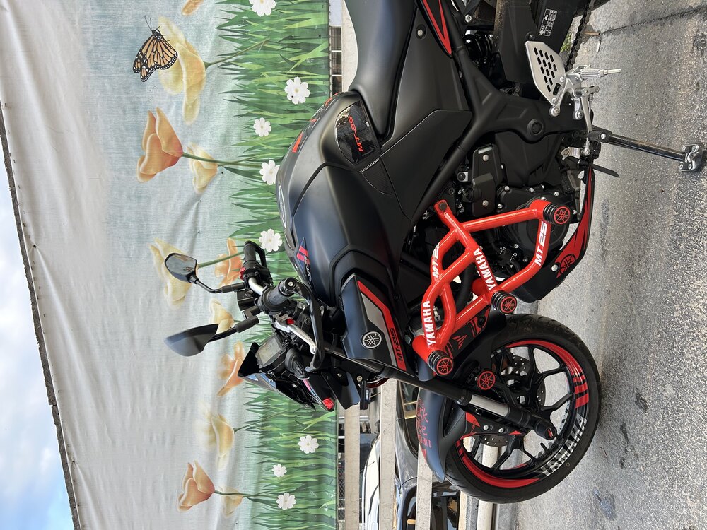 YAMAHA MT-25 6 lı koruma demirimiz