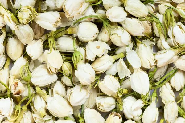 Tomurcuk Yasemin 100 gr 